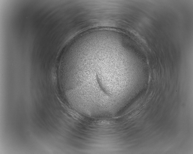 X0000073421266200608111342