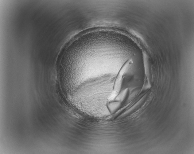 X0000073421267200608111342