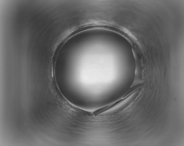 X0000073421269200608111342