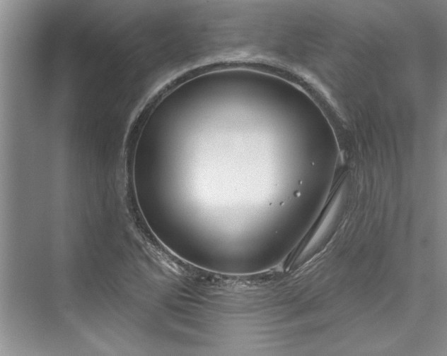 X0000073421270200608111342