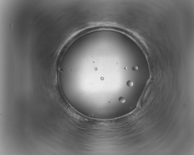 X0000073421271200608111342