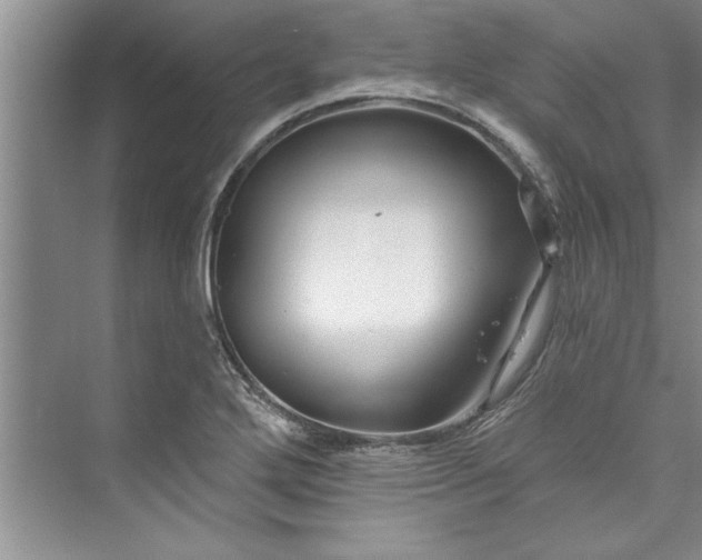 X0000073421272200608111341