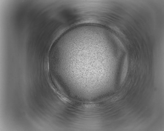 X0000073421274200608111341