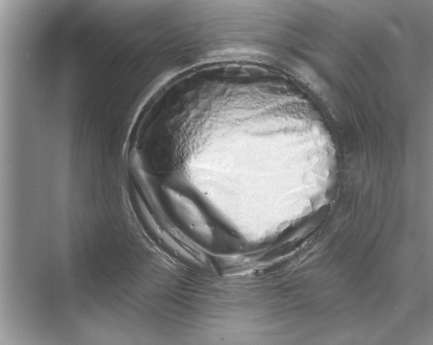 X0000073421275200608111341