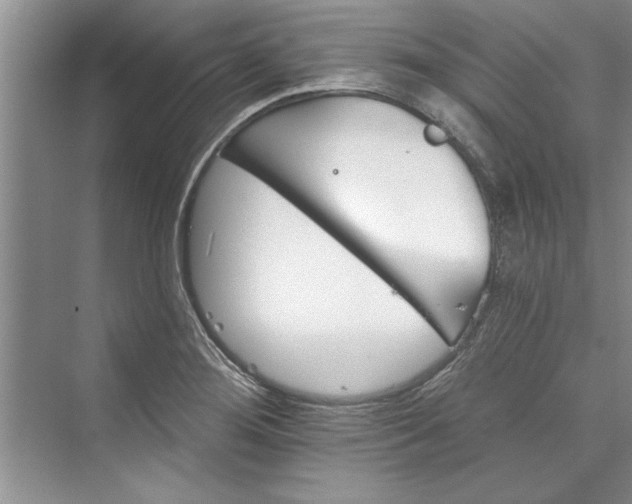 X0000073421276200608111341