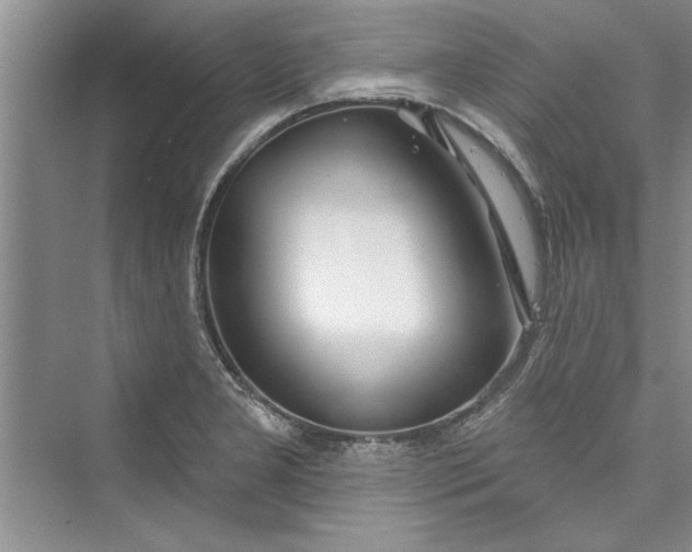 X0000073421277200608111341