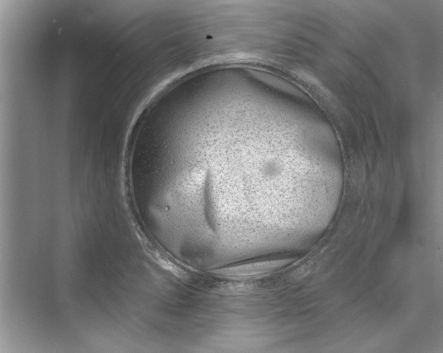 X0000073421278200608111341