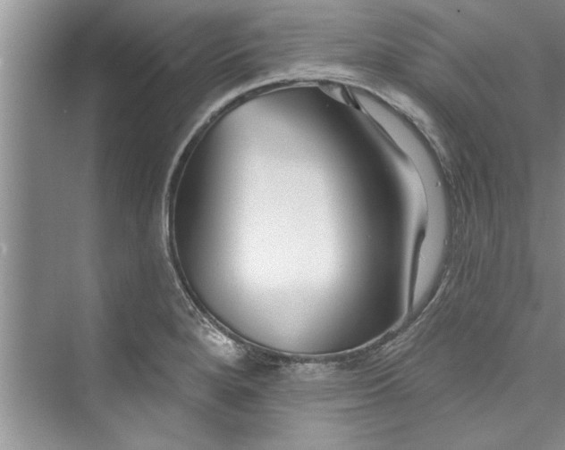 X0000073421280200608111341