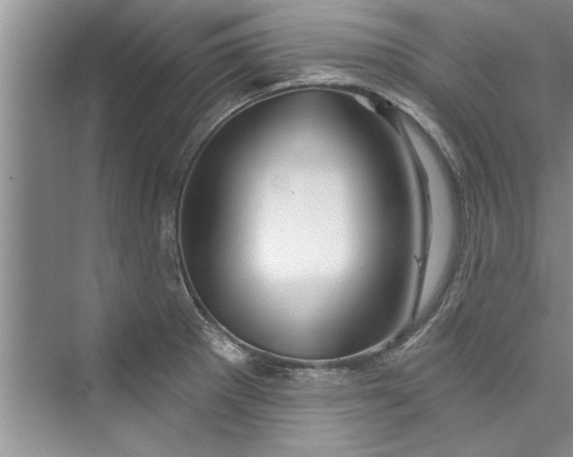 X0000073421281200608111341