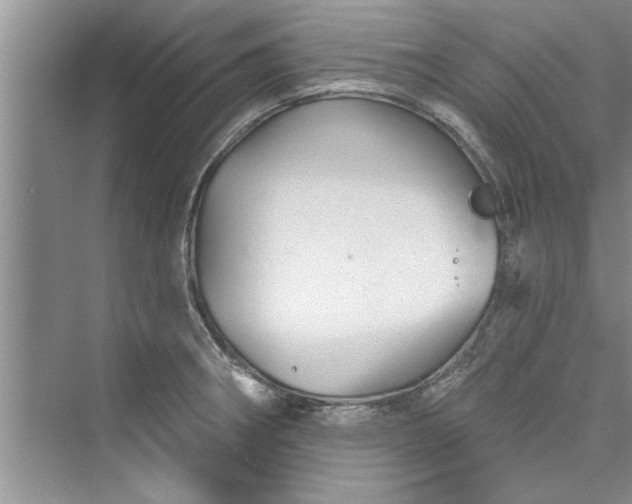 X0000073421282200608111341