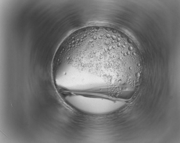 X0000073421283200608111341