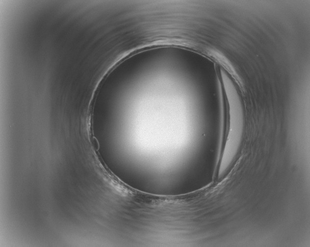 X0000073421284200608111341