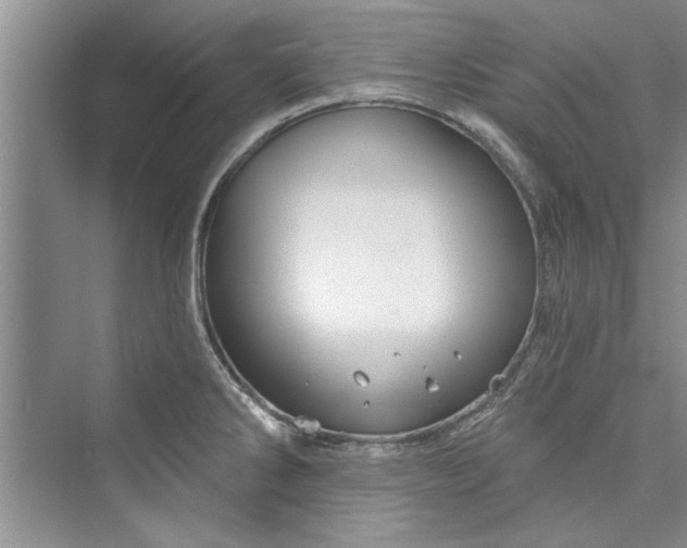 X0000073421286200608111341