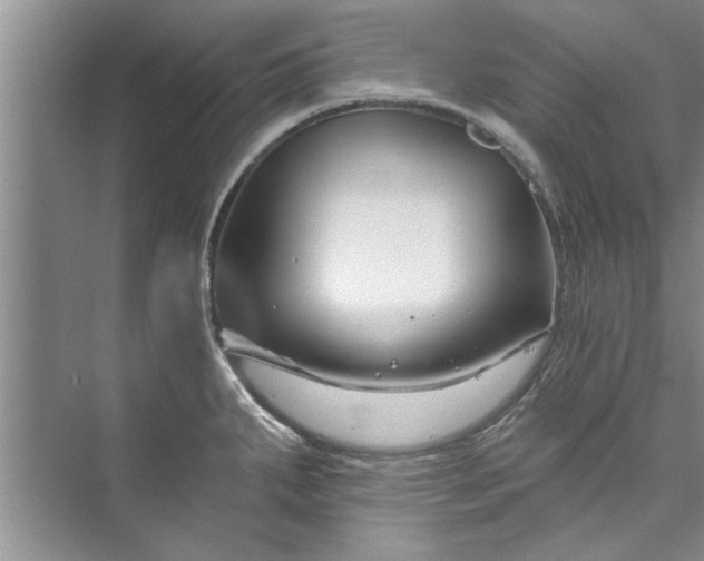 X0000073421287200608111341