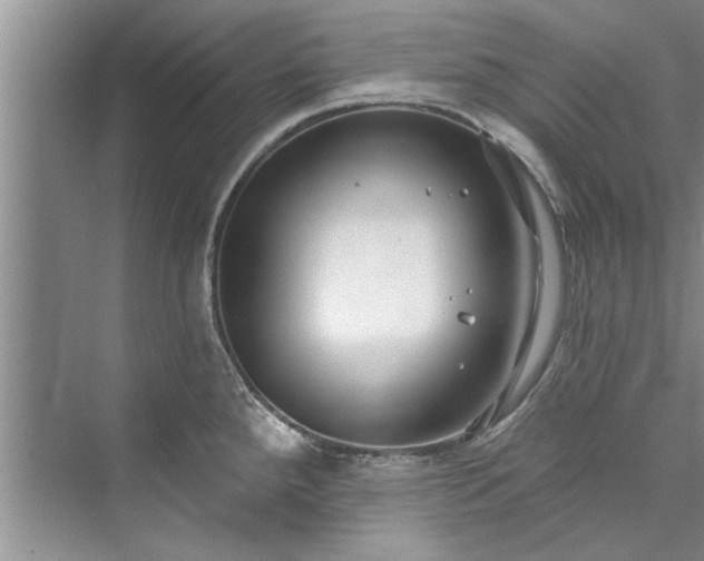 X0000073421288200608111341