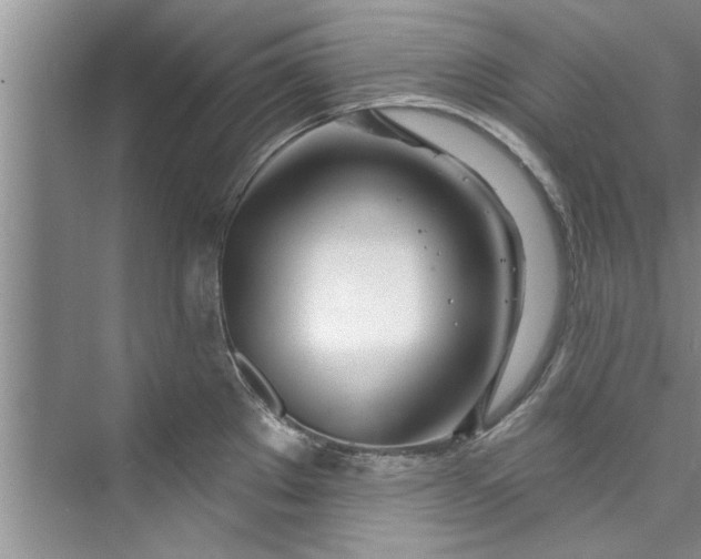 X0000073421289200608111341