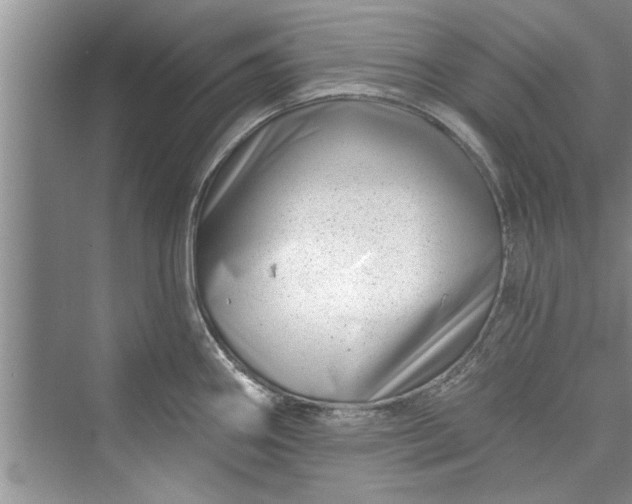 X0000073421290200608111341