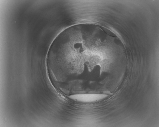 X0000073421291200608111341