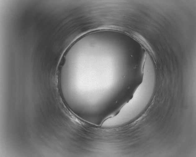 X0000073421292200608111341