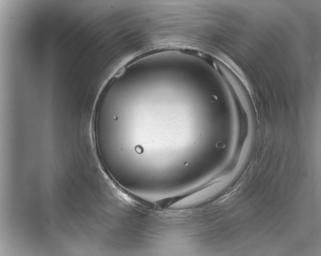 X0000073421293200608111341