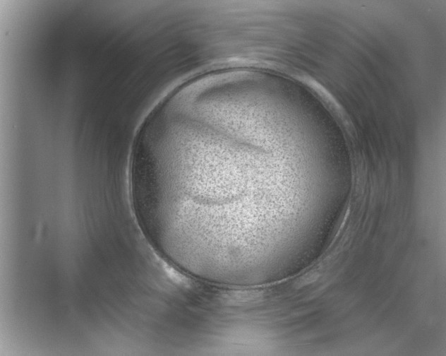 X0000073421294200608111341