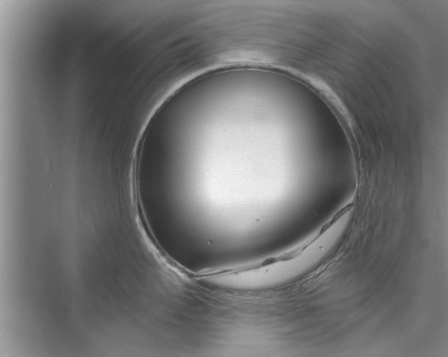 X0000073421295200608111341