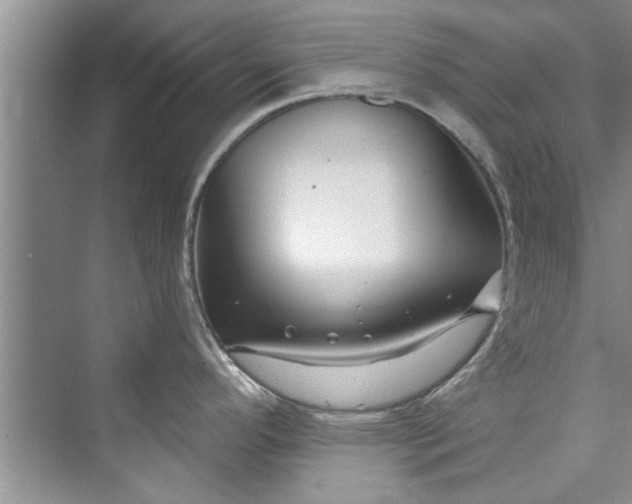 X0000073421296200608111341