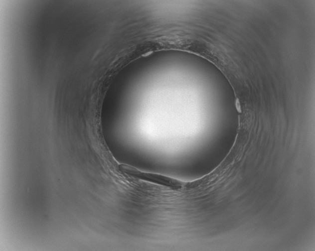 X0000073421297200608111340