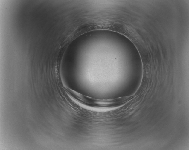 X0000073421298200608111340