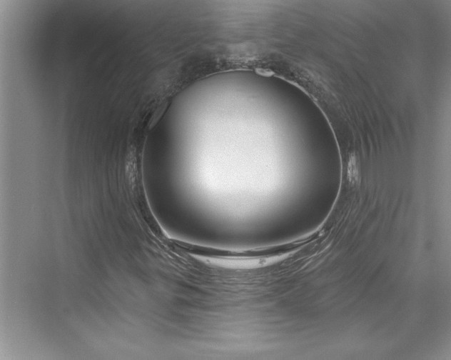 X0000073421299200608111340