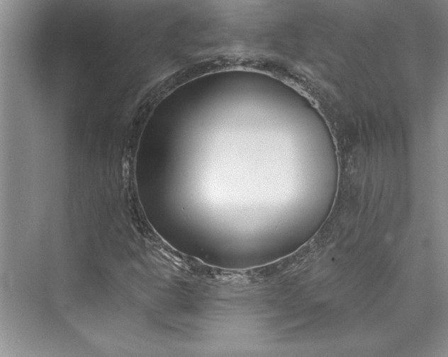 X0000073421302200608111340