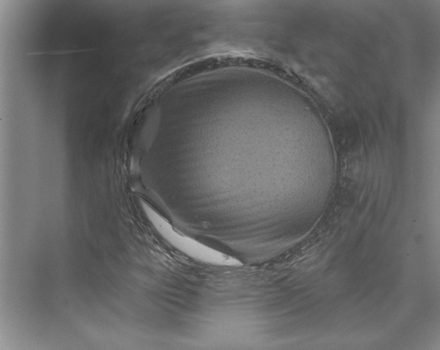 X0000073421303200608111340