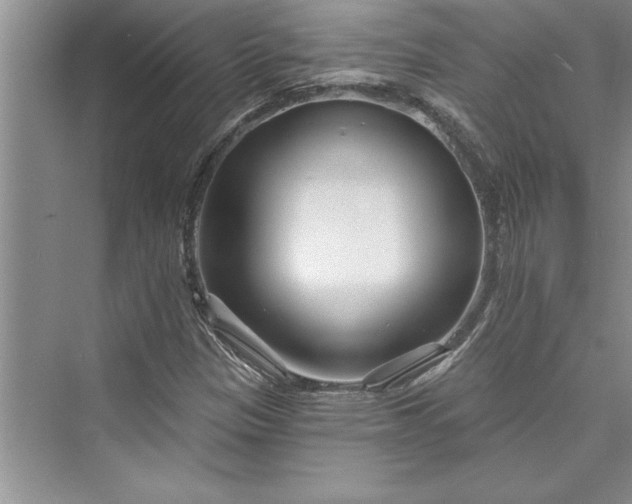 X0000073421305200608111340