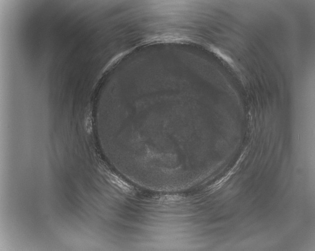 X0000073421306200608111340