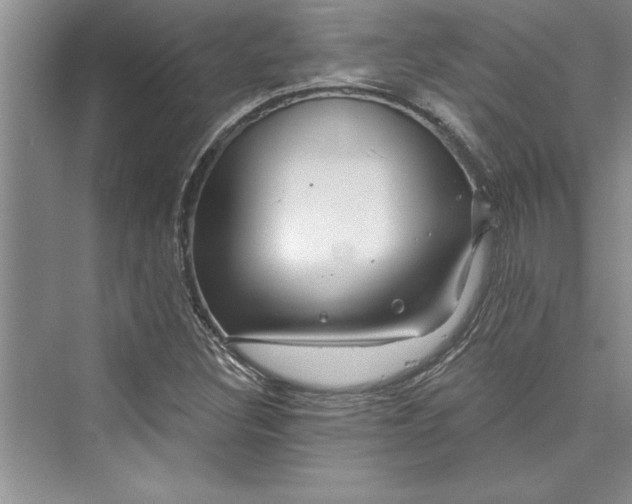 X0000073421308200608111340