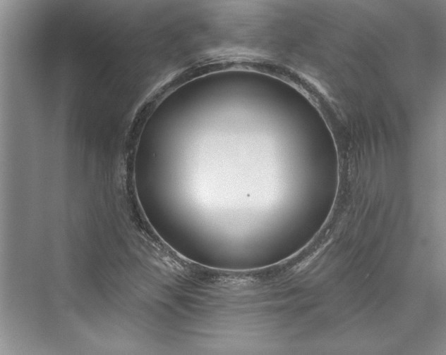 X0000073421309200608111340