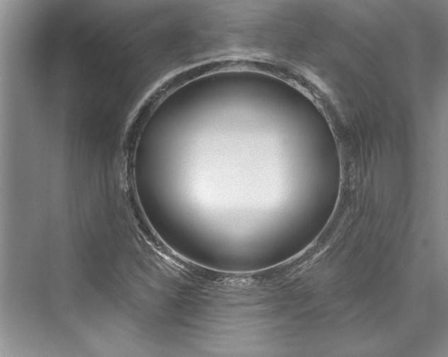 X0000073421310200608111341