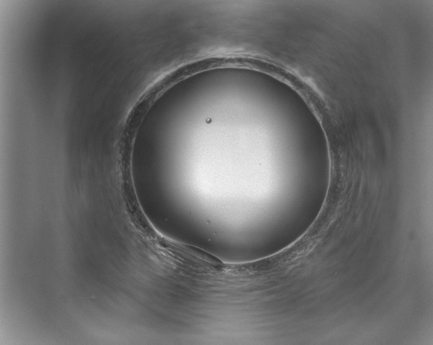 X0000073421311200608111341