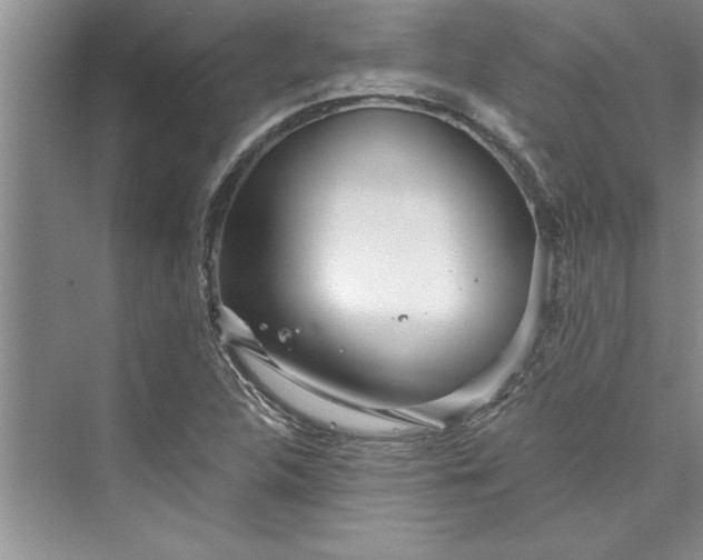 X0000073421312200608111341