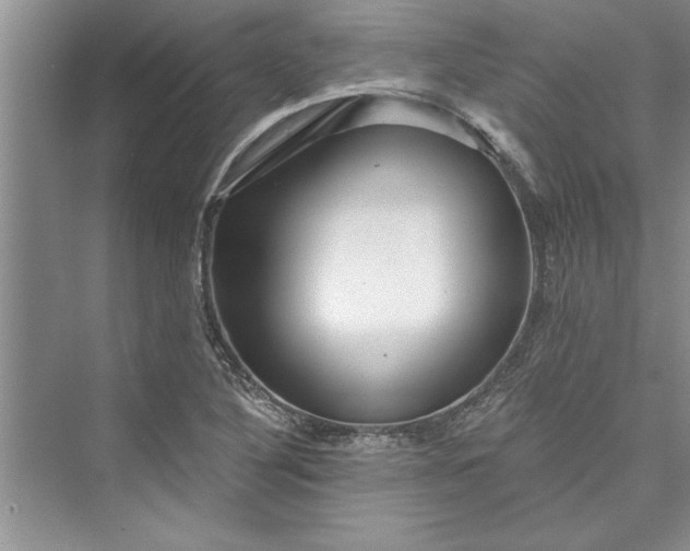 X0000073421316200608111341