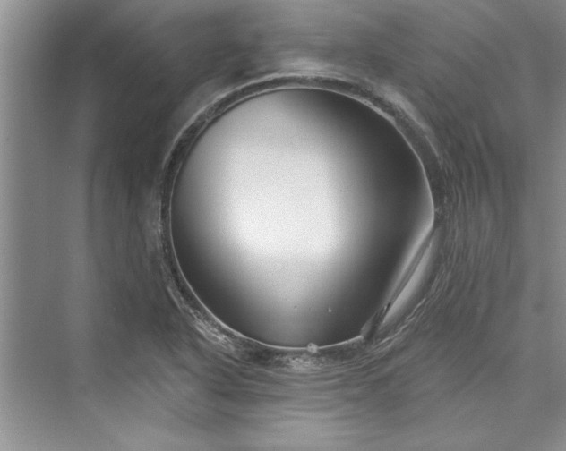 X0000073421318200608111341