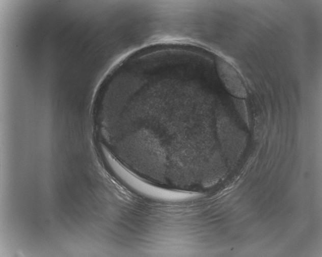 X0000073421319200608111341