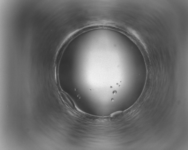 X0000073421320200608111341