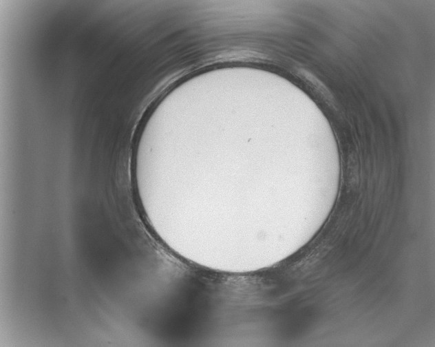 X0000073421322200608111341