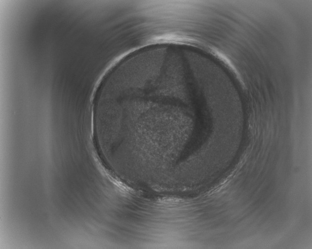 X0000073421323200608111341