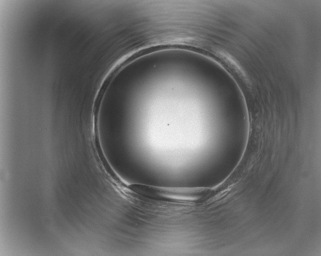 X0000073421324200608111341