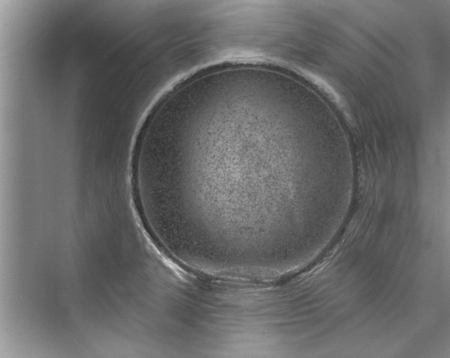 X0000073421327200608111341