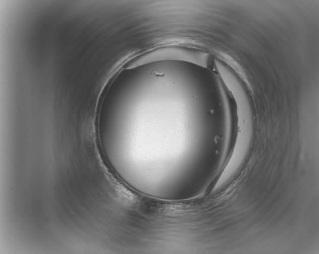 X0000073421330200608111341