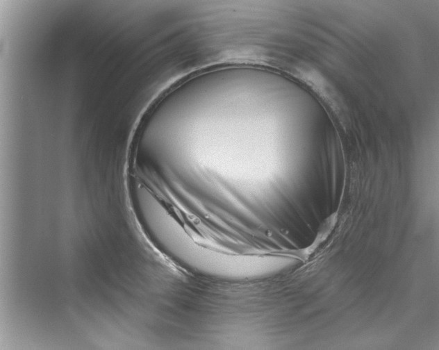 X0000073421331200608111341