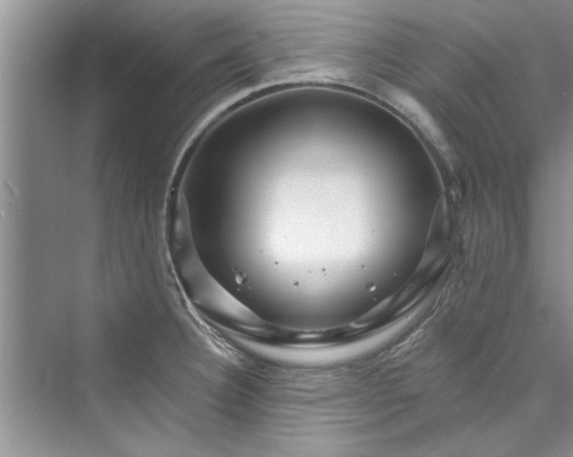 X0000073421332200608111341